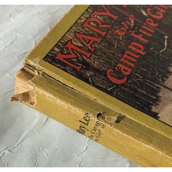 1917 Mary Lee The Campfire Girl Harriet Rietz Antique Book Hardcover Illustrated - Picture 10 of 13